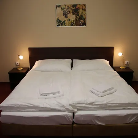 Pensionat Pansky Dum 4*