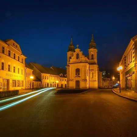 Pansky Dum بيت ضيافة